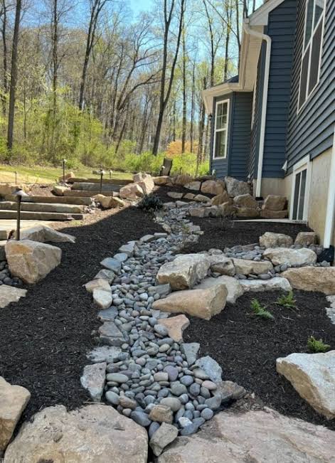 French Drain vs Dry Creek Bed for Yard Drainage