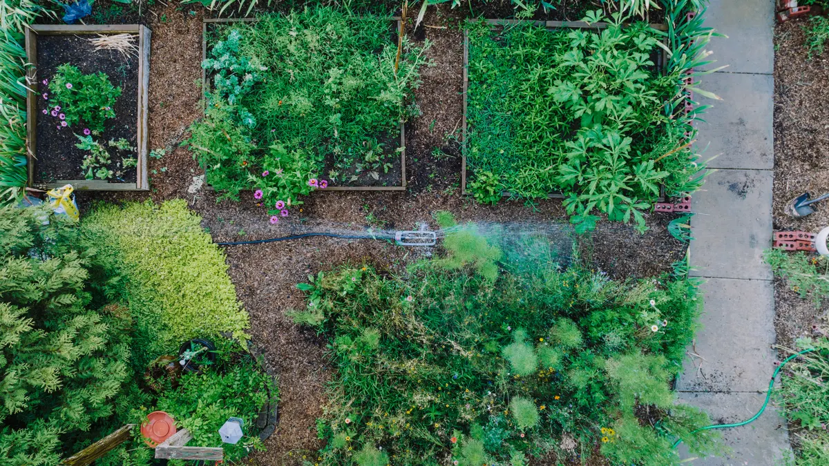 Overhead view of a garden being watered